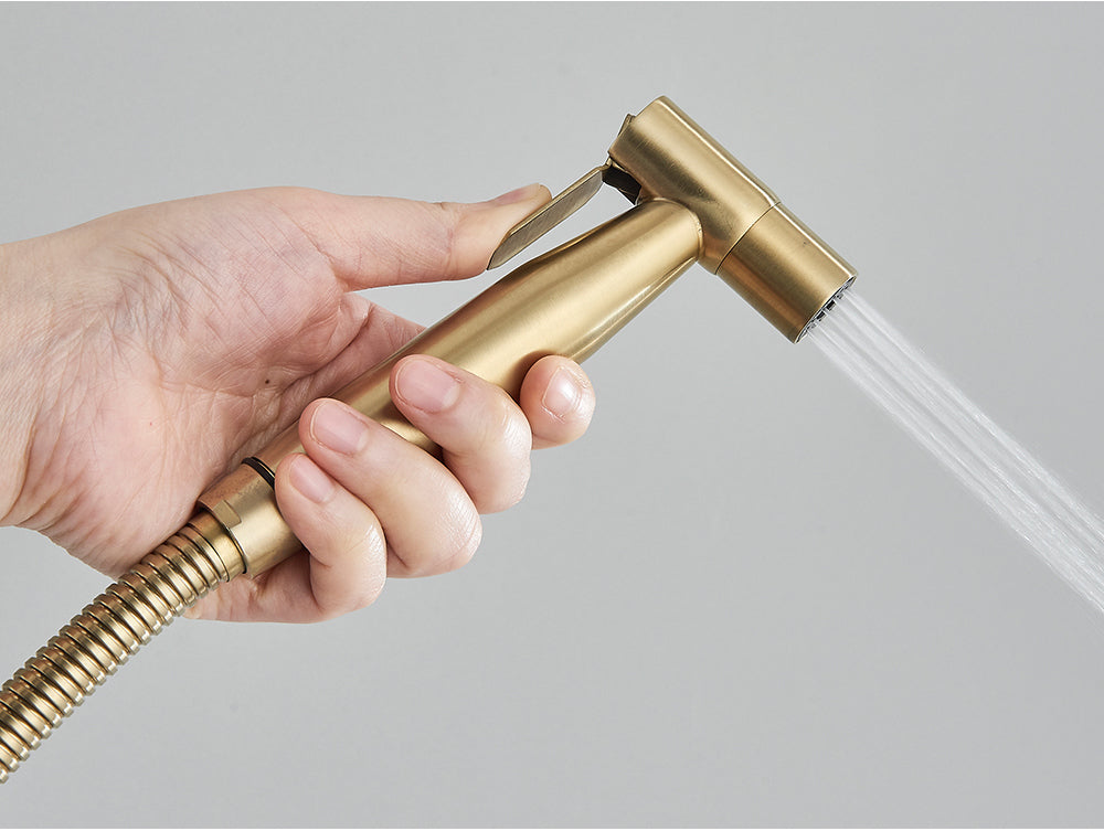 H&B Premium Stainless Steel Toilet Shower Set